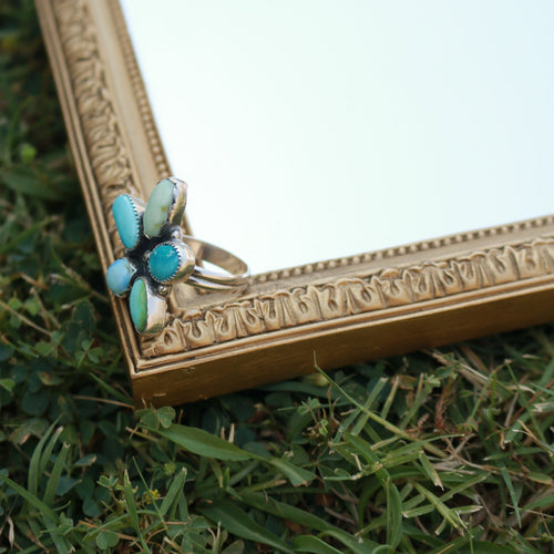 Del Mar ring